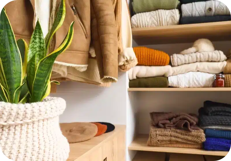 Why Pest Control Sprays in Closets: Everything You Need to Know 1 Why Pest Control Sprays in Closets: Everything You Need to Know 1