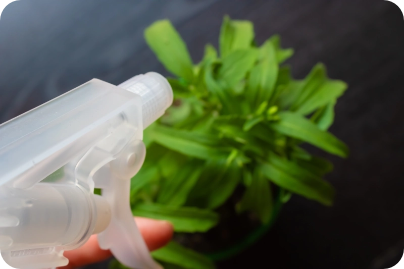 How Pest Control Sprays Affect Common Garden and Indoor Plants 1 How Pest Control Sprays Affect Common Garden and Indoor Plants 1