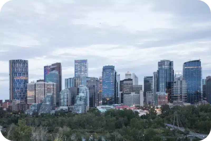 Calgary’s Top Reasons to Choose Professional Pest Control Services 1 Top reasons to choose professional services pest control calgary