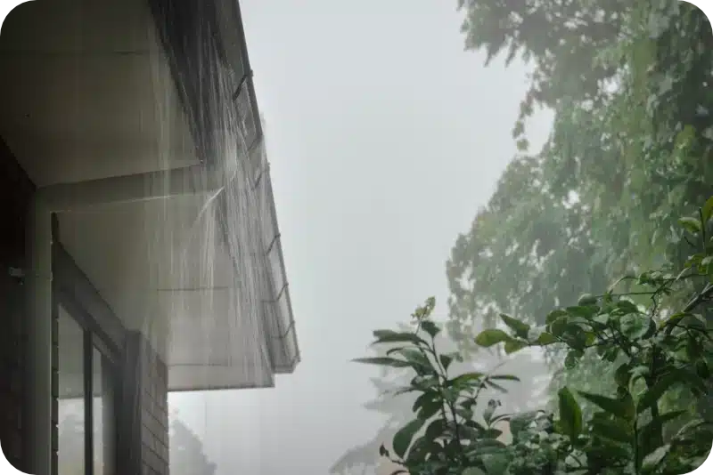 How Weather Conditions Like Rain Affect Pest Control Spraying 1 Pest Control Extermination In The Rain Calgary